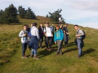 zloty lisc 2016 (15)